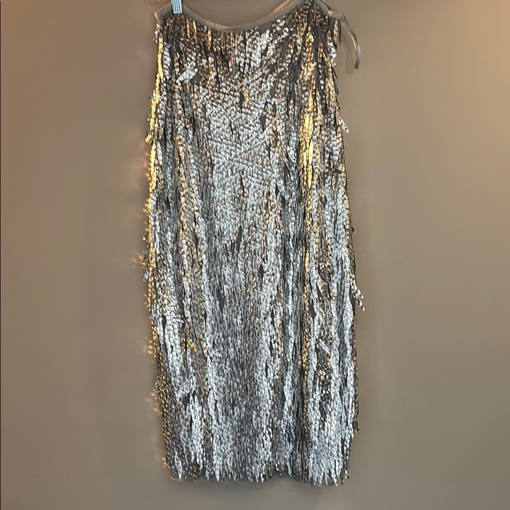 Anthropologie Silver Skirt